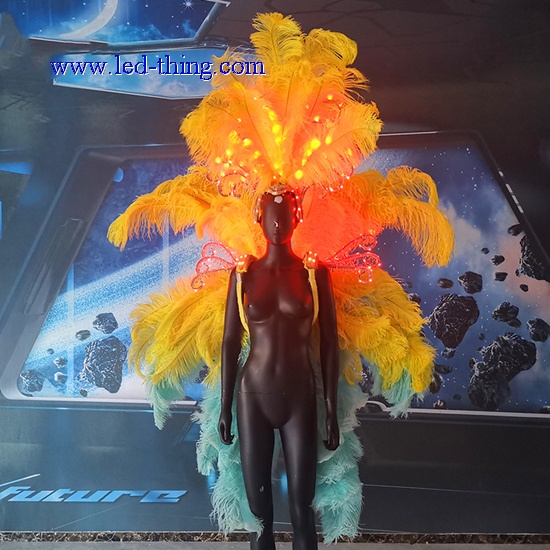 LED Light Carnival Holiday Feather Costume Accessories