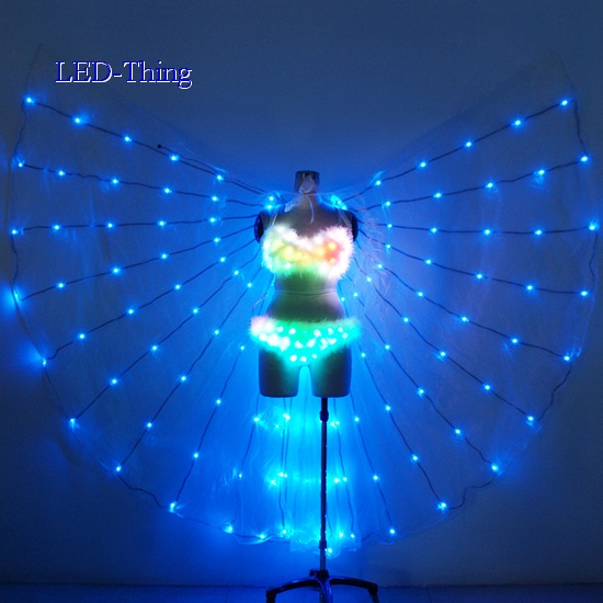 LED Sexy Bra & Pants Costume