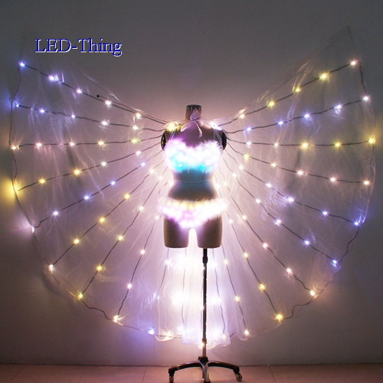 LED Sexy Bra & Pants Costume