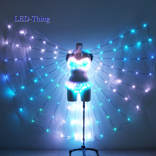 LED Sexy Bra & Pants Costume