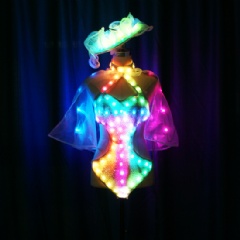 LED Sexy Bikini Leotard Costume