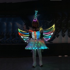 Fairy Princess Luminous Costume with Wings