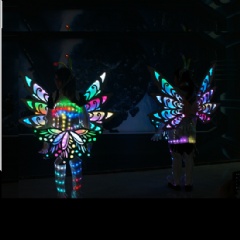 Fabulous LED Prom Butterfly Dress Costume
