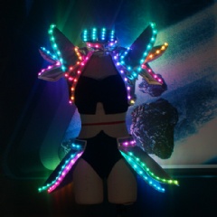 DJ Nightclub Performance Girl LED Suit