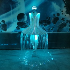 LED Luminous Fiber Optic Cage Queenie Dress