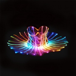 LED Black Swan Ballet Dress