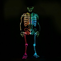 LED Skeleton Costume