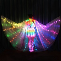 LED Wings