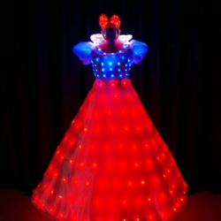 LED Disney Princess Dress