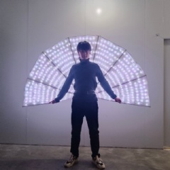 Epic LED Light-Up Peacock Fan Props: Large RGB Programmable Reflective Folding Fans for Street Performance, Carnival Parades & Professional Stage Dancers
