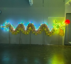 Professional LED Luminous Dragon for Chinese New Year: RGB Programmable Light-Up Dragon Dance Suit for Festival Parades & Cultural Stage Performances